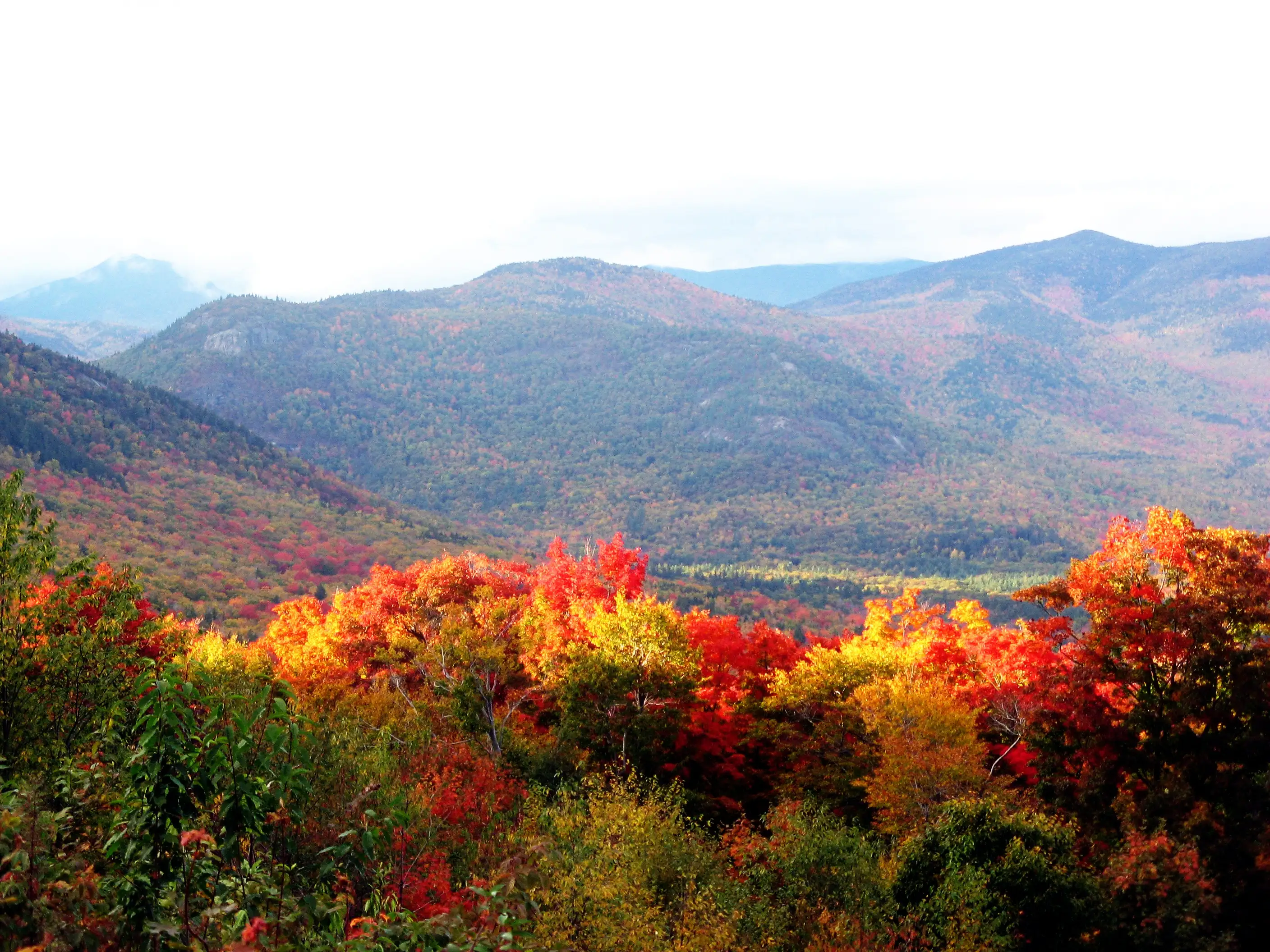 Autumn colour across the White Mountains.